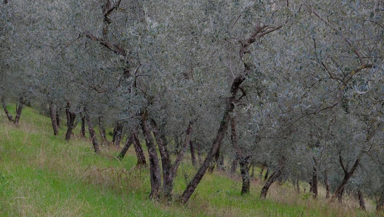Agriturismo Il Casaletto Montefranco Экстерьер фото