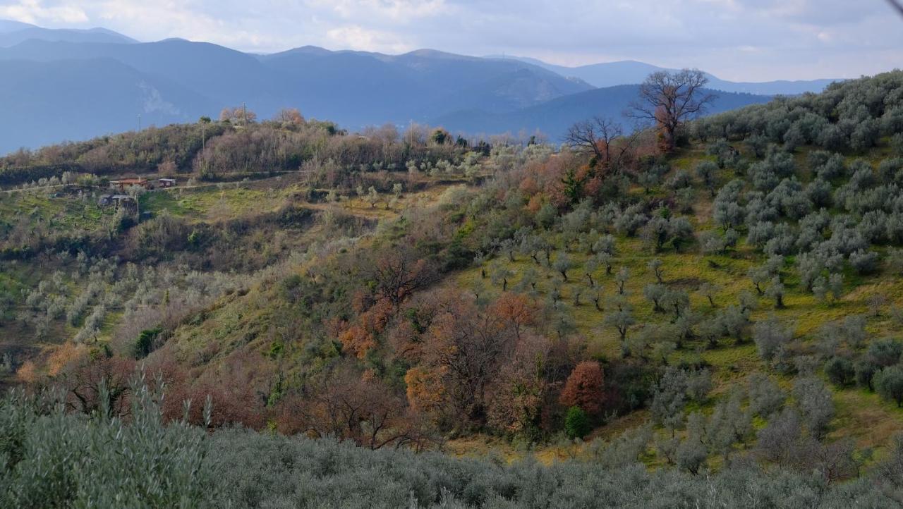 Agriturismo Il Casaletto Montefranco Экстерьер фото