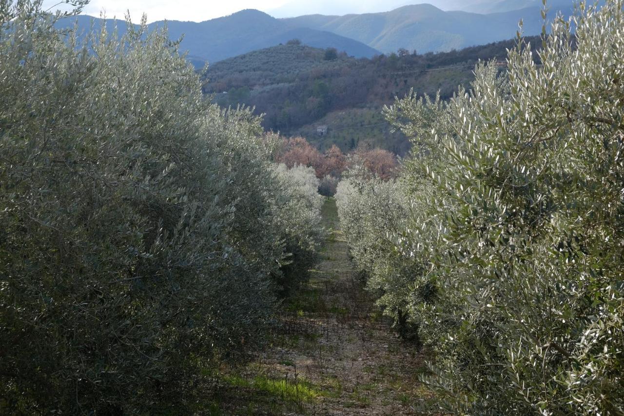 Agriturismo Il Casaletto Montefranco Экстерьер фото