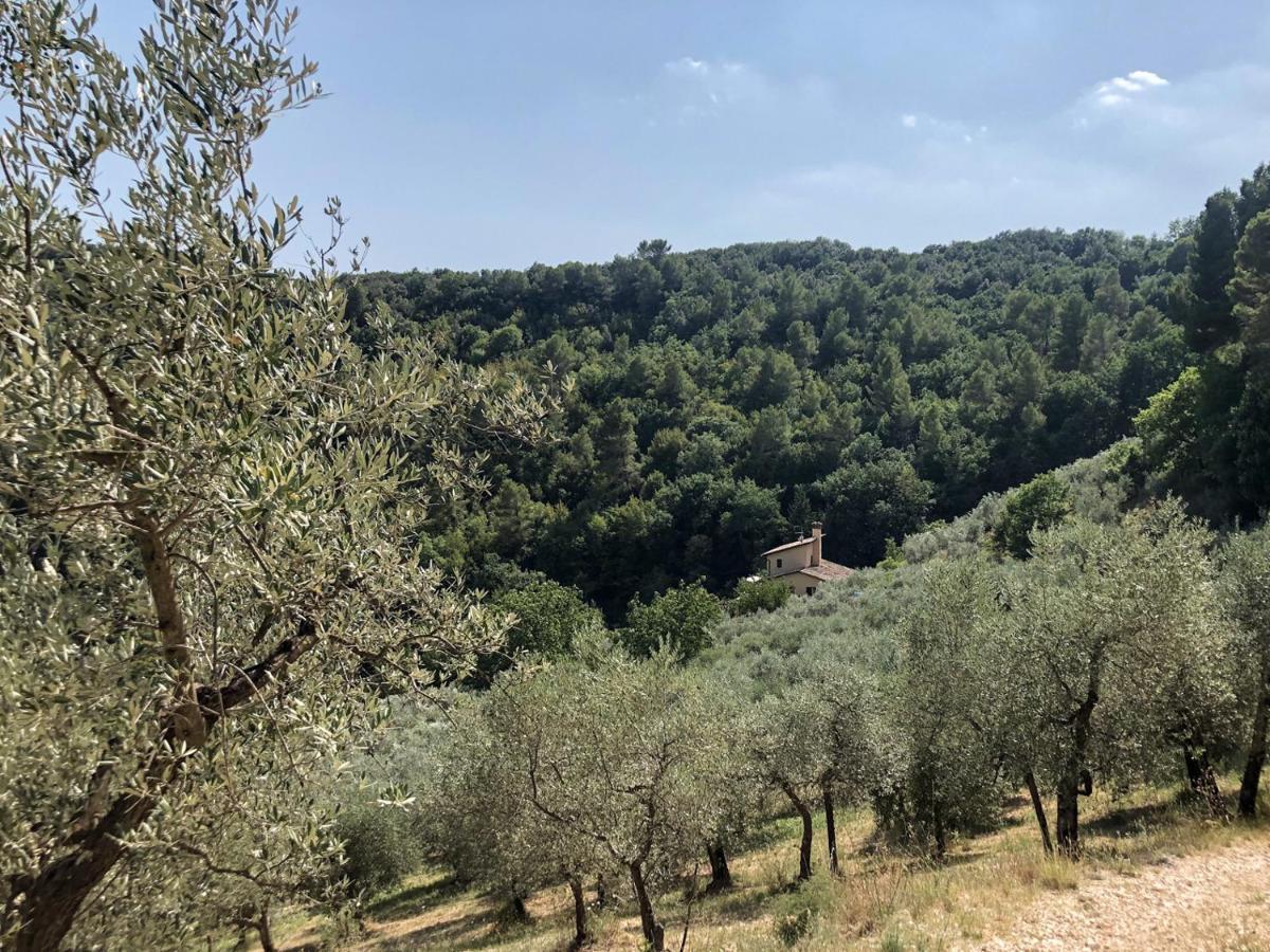 Agriturismo Il Casaletto Montefranco Экстерьер фото