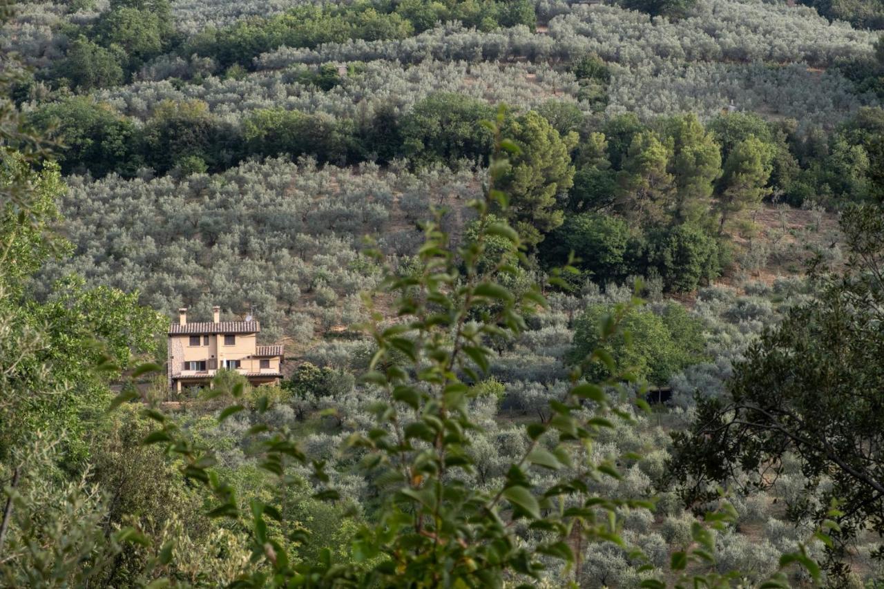 Agriturismo Il Casaletto Montefranco Экстерьер фото