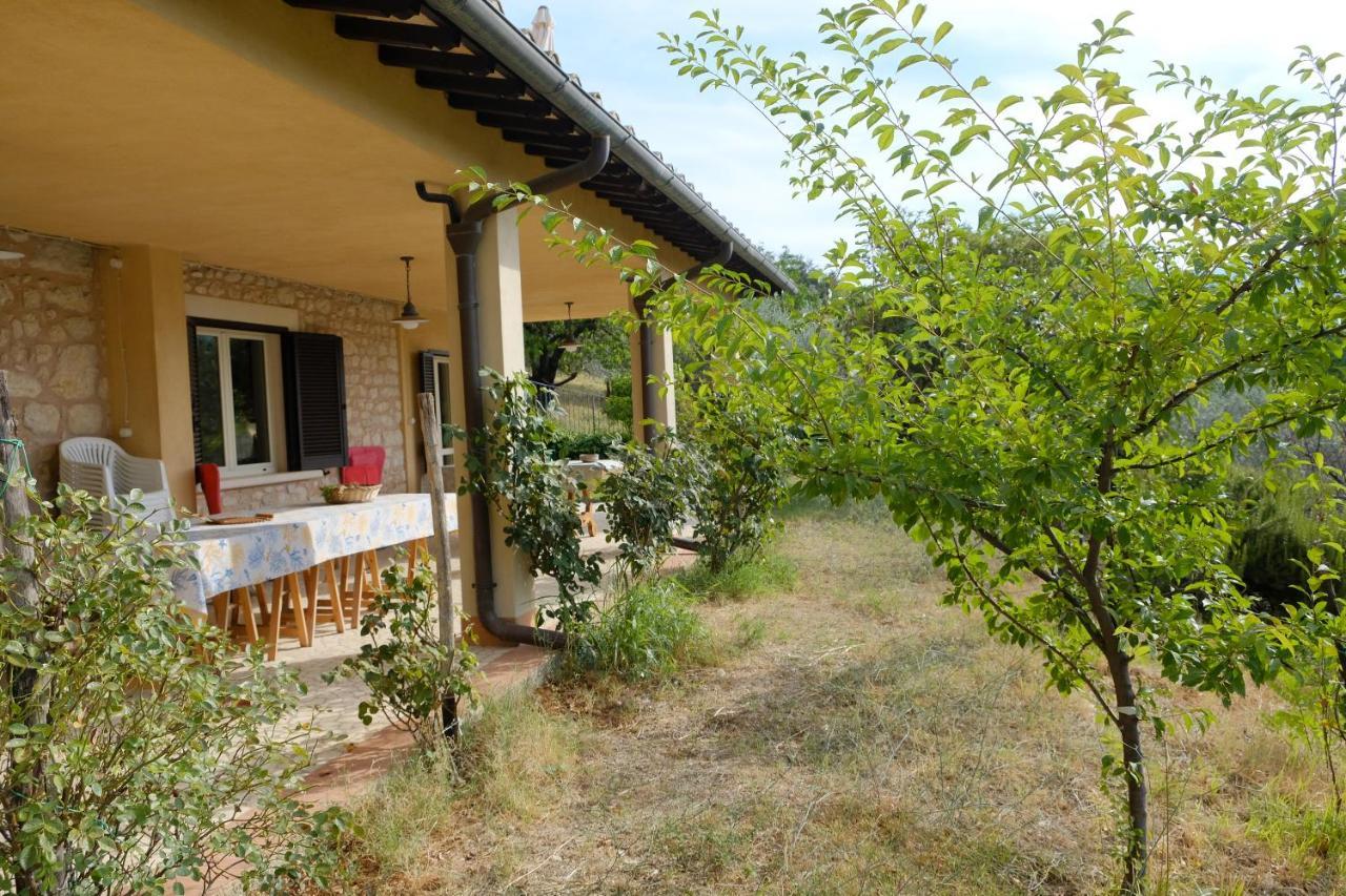 Agriturismo Il Casaletto Montefranco Экстерьер фото