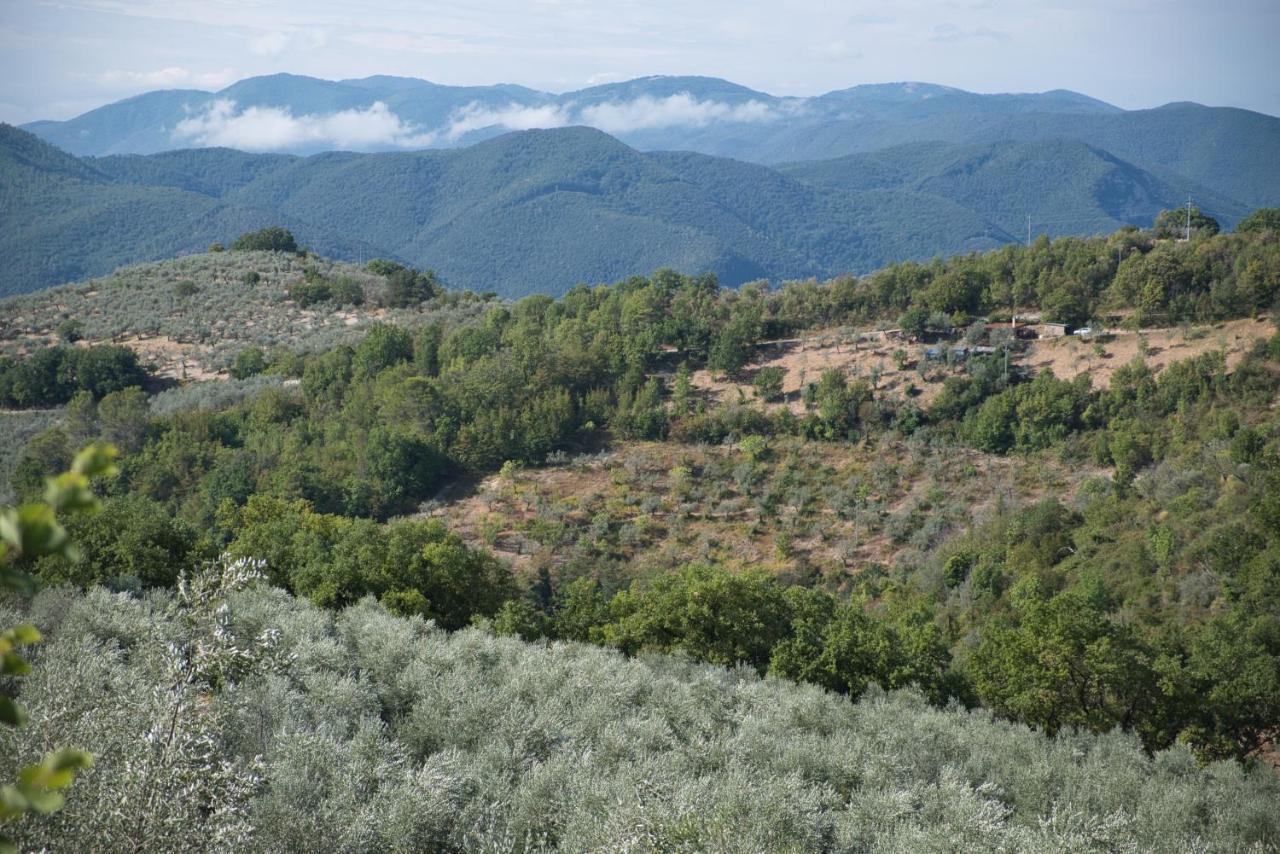Agriturismo Il Casaletto Montefranco Экстерьер фото