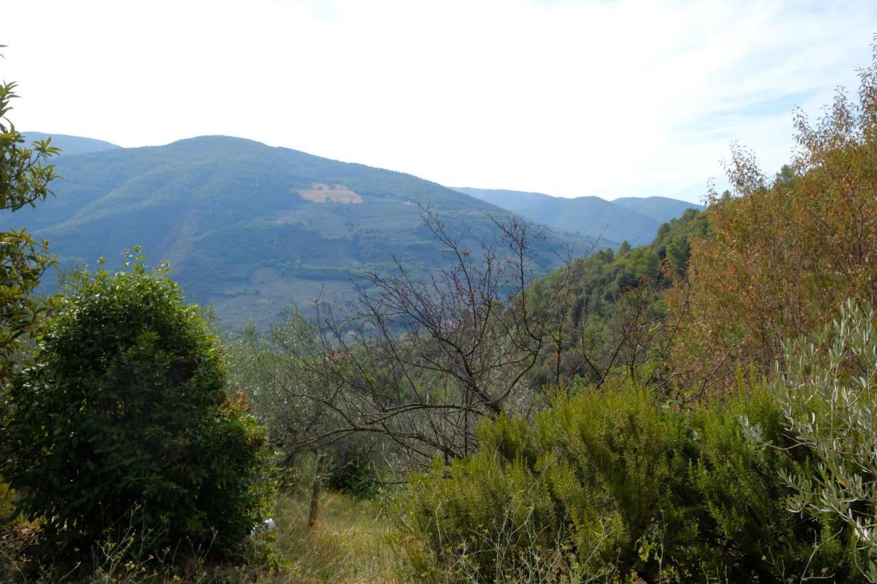 Agriturismo Il Casaletto Montefranco Экстерьер фото
